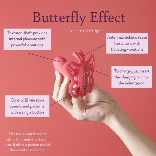 Butterfly effect